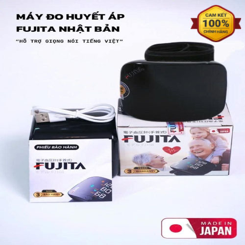 FUJITA1